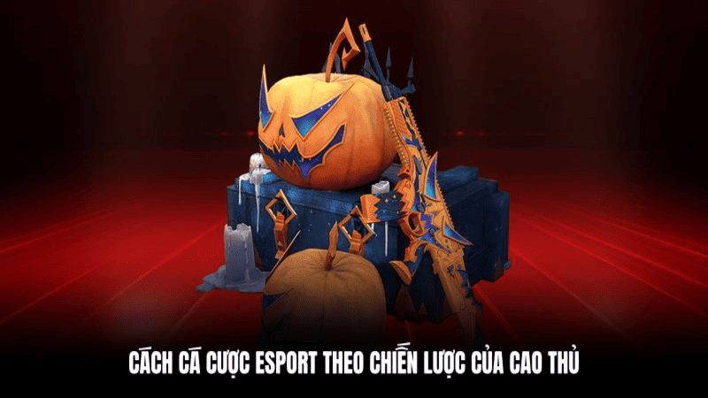 Hướng Dẫn Cược E-Sports Tại PG66