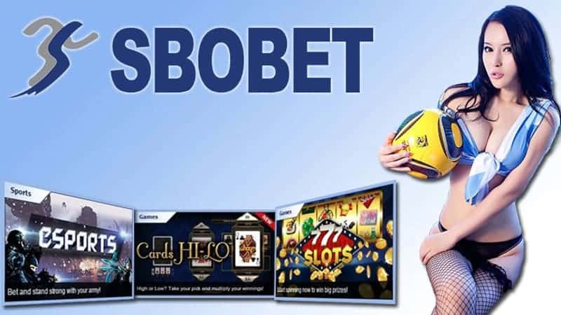 Sbobet Pg66